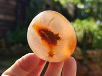 Polished Flower Agate Palm Stones x 12 From Antsahalova, Madagascar