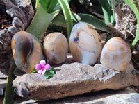 Polished Dendritic Agate Standing Free Forms x 4 From Madagascar