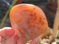 Polished Dendritic Agate Standing Free Forms x 4 From Madagascar