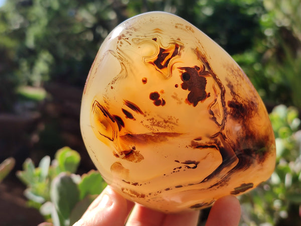 Polished Dendritic Agate Standing Free Forms x 4 From Madagascar