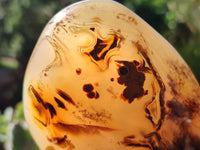 Polished Dendritic Agate Standing Free Forms x 4 From Madagascar