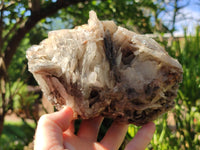 Natural Bladed Barite Specimen x 1 From Congo