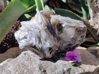 Natural Bladed Barite Specimen x 1 From Congo