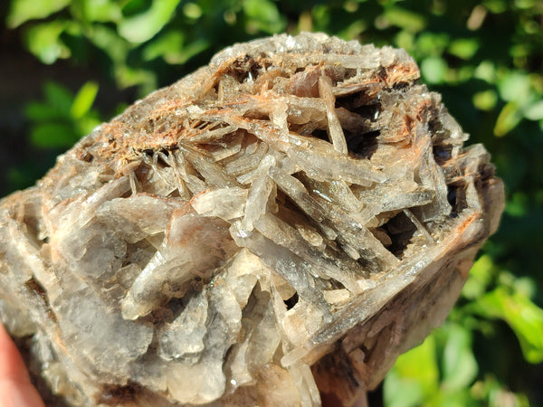 Natural Bladed Barite Specimen x 1 From Congo