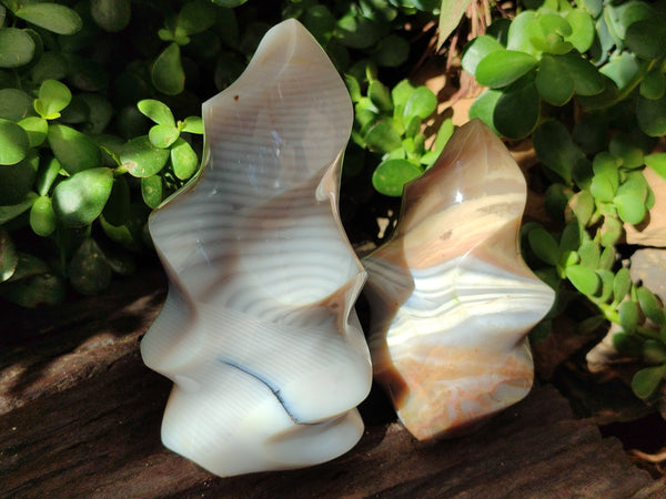 Polished Banded Agate Flames x 2 From Madagascar