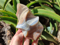 Polished Banded Agate Flames x 2 From Madagascar