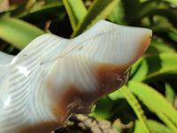 Polished Banded Agate Flames x 2 From Madagascar