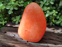 Polished Orange Twist Calcite Standing Free Form x 1 From Madagascar