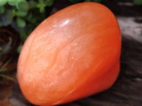 Polished Orange Twist Calcite Standing Free Form x 1 From Madagascar