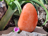 Polished Orange Twist Calcite Standing Free Form x 1 From Madagascar