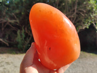 Polished Orange Twist Calcite Standing Free Form x 1 From Madagascar