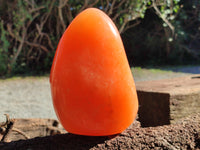 Polished Orange Twist Calcite Standing Free Form x 1 From Madagascar