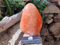 Polished Orange Twist Calcite Standing Free Form x 1 From Madagascar