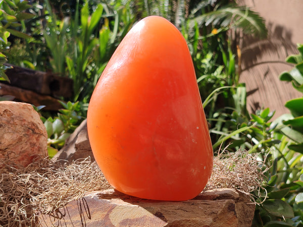 Polished Orange Twist Calcite Standing Free Form x 1 From Madagascar