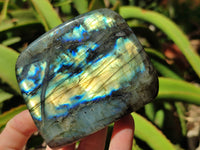 Polished Labradorite Standing Free Forms x 3 From Tulear, Madagascar