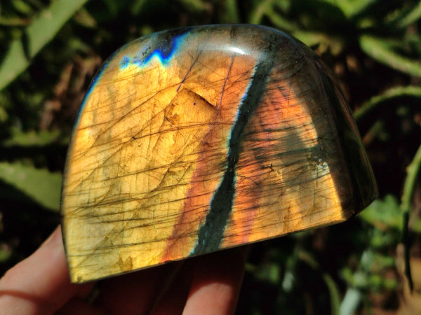 Polished Labradorite Standing Free Forms x 3 From Tulear, Madagascar