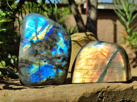 Polished Labradorite Standing Free Forms x 3 From Tulear, Madagascar