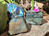 Polished Labradorite Standing Free Forms x 3 From Tulear, Madagascar