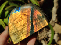 Polished Labradorite Standing Free Forms x 3 From Tulear, Madagascar