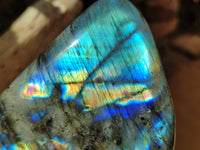 Polished Labradorite Standing Free Forms x 3 From Tulear, Madagascar