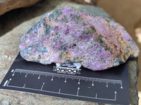 Natural Stichtite Cobbed Specimens x 12 From Barberton, South Africa