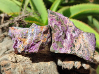 Natural Stichtite Cobbed Specimens x 12 From Barberton, South Africa