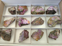 Natural Stichtite Cobbed Specimens x 12 From Barberton, South Africa