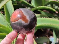 Polished Polychrome Jasper Spheres x 6 From Mahajanga, Madagascar