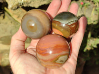 Polished Polychrome Jasper Spheres x 6 From Mahajanga, Madagascar