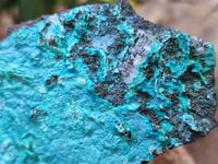 Natural Chrysocolla With Malachite Specimens x 5 From Congo