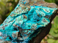 Natural Chrysocolla With Malachite Specimens x 5 From Congo