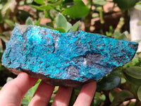 Natural Chrysocolla With Malachite Specimens x 5 From Congo