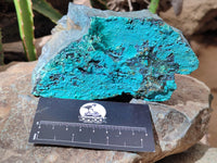 Natural Chrysocolla With Malachite Specimens x 5 From Congo