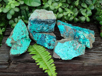 Natural Chrysocolla With Malachite Specimens x 5 From Congo