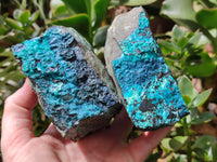 Natural Chrysocolla With Malachite Specimens x 5 From Congo