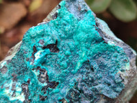 Natural Chrysocolla With Malachite Specimens x 5 From Congo