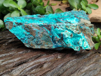 Natural Chrysocolla With Malachite Specimens x 5 From Congo