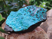 Natural Chrysocolla With Malachite Specimens x 5 From Congo