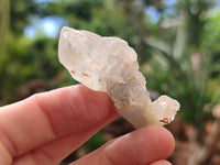 Natural Drusy Quartz Coated Calcite Pseudomorph Specimens x 20 From Alberts Mountain, Lesotho