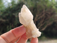 Natural Drusy Quartz Coated Calcite Pseudomorph Specimens x 20 From Alberts Mountain, Lesotho