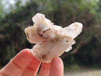 Natural Drusy Quartz Coated Calcite Pseudomorph Specimens x 20 From Alberts Mountain, Lesotho