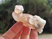 Natural Drusy Quartz Coated Calcite Pseudomorph Specimens x 20 From Alberts Mountain, Lesotho