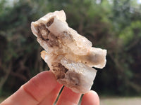 Natural Drusy Quartz Coated Calcite Pseudomorph Specimens x 20 From Alberts Mountain, Lesotho