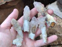 Natural Drusy Quartz Coated Calcite Pseudomorph Specimens x 20 From Alberts Mountain, Lesotho