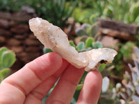 Natural Drusy Quartz Coated Calcite Pseudomorph Specimens x 20 From Alberts Mountain, Lesotho