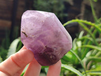 Polished Smokey Window Amethyst Quartz Crystals x 12 From Akansobe, Madagascar