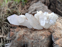 Natural Quartz Crystals x 70 From Mpika, Zambia