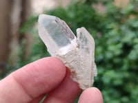 Natural Quartz Crystals x 70 From Mpika, Zambia