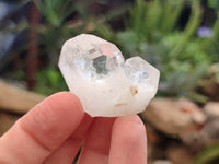 Natural Quartz Crystals x 70 From Mpika, Zambia