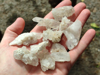 Natural Quartz Crystals x 70 From Mpika, Zambia